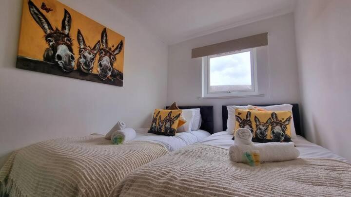 No 62 Fivedom - Charming & Cosy Daire Southampton Dış mekan fotoğraf